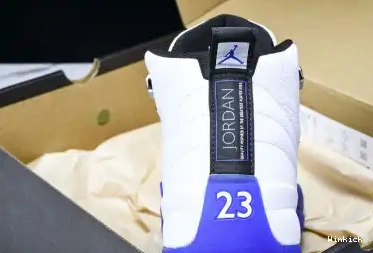 CT8013-140 12 Jordan “Blueberry” Air 0523
